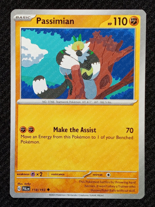 118/193 Passimian