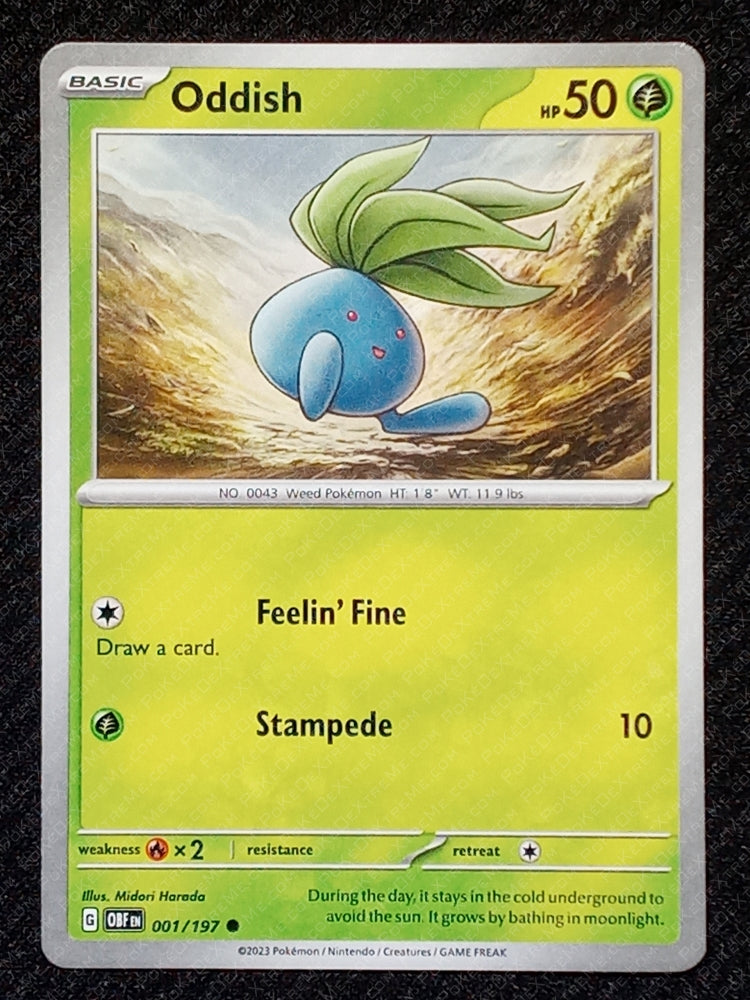 001/197 Oddish