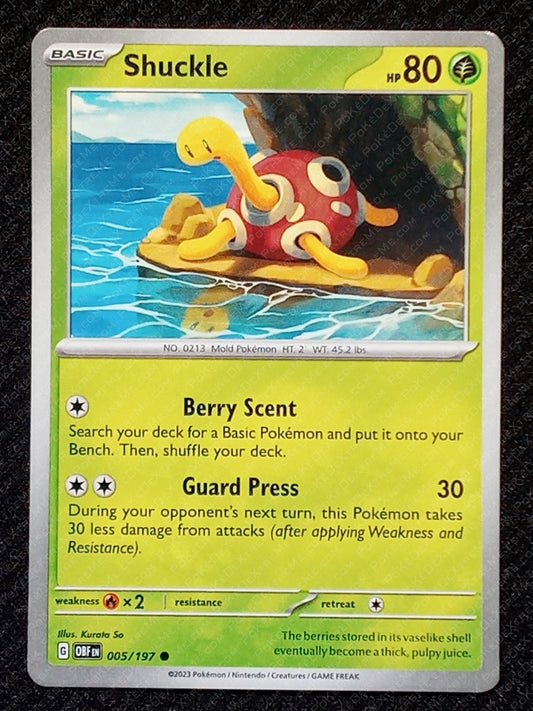 005/197 Shuckle