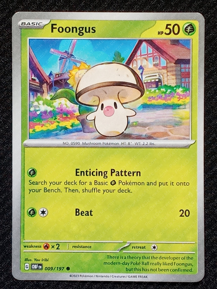 009/197 Foongus