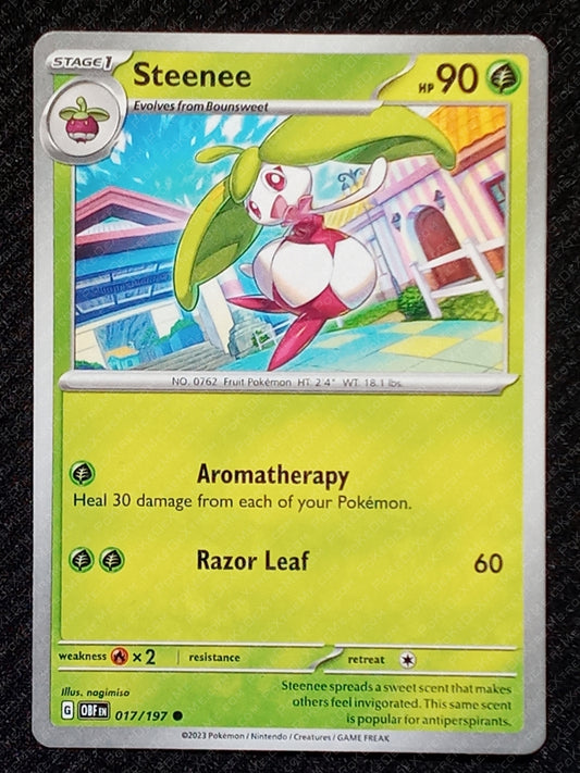 017/197 Steenee