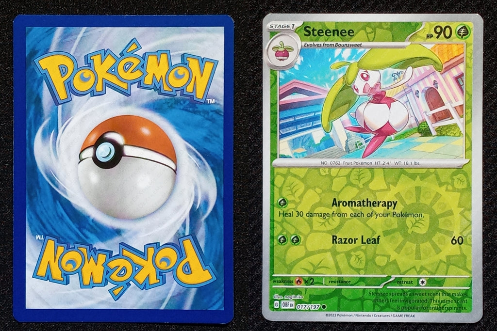 017/197 Steenee {Reverse Holo}