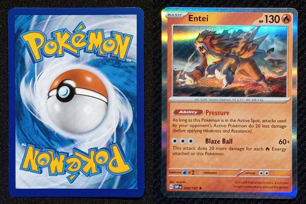 030/197 Entei {Regular Holo}