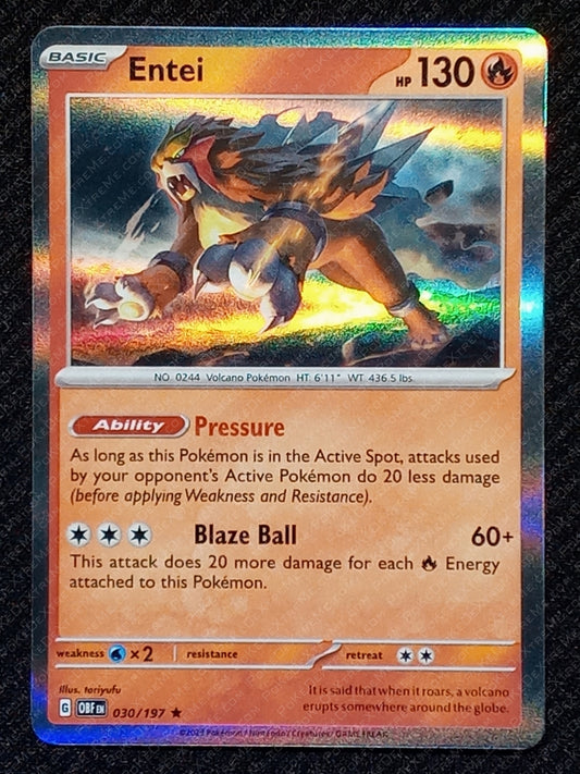 030/197 Entei {Regular Holo}