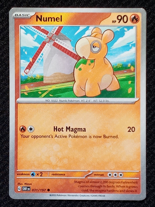 031/197 Numel