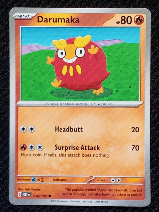 034/197 Darumaka