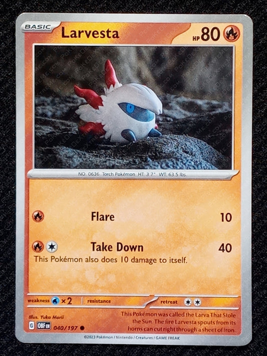 040/197 Larvesta