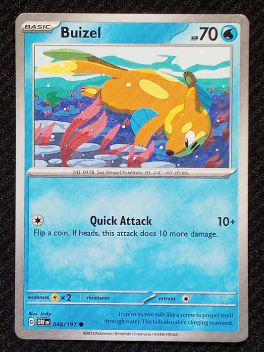 048/197 Buizel