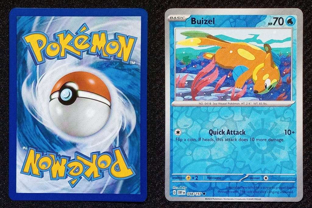048/197 Buizel {Reverse Holo}