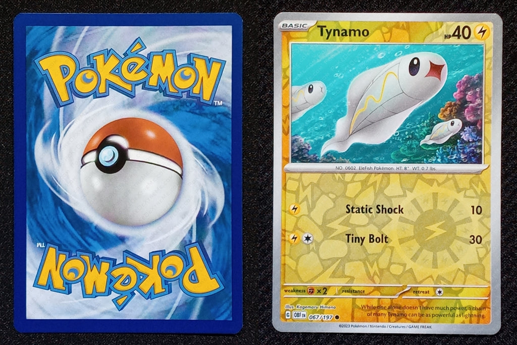 067/197 Tynamo {Reverse Holo}