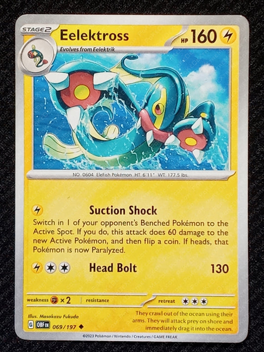 069/197 Eelektross