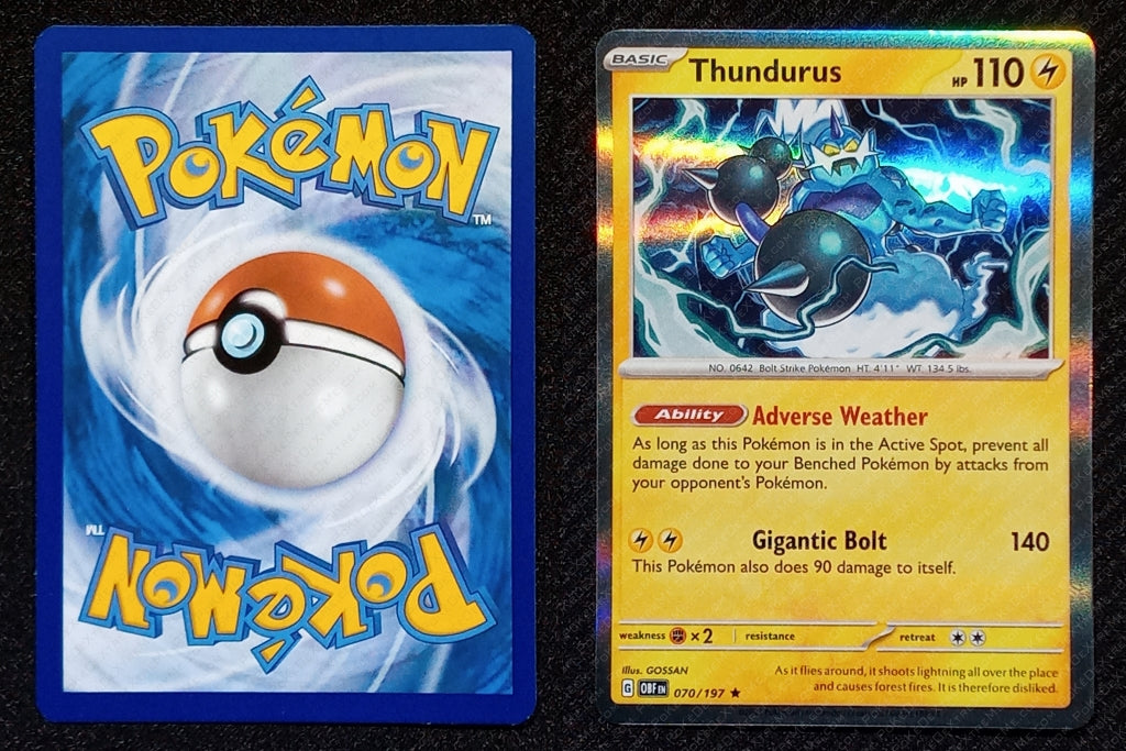070/197 Thundurus {Window Holo}