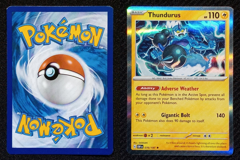 070/197 Thundurus {Window Holo}