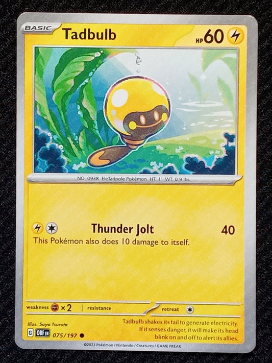 075/197 Tadbulb