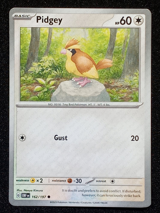162/197 Pidgey
