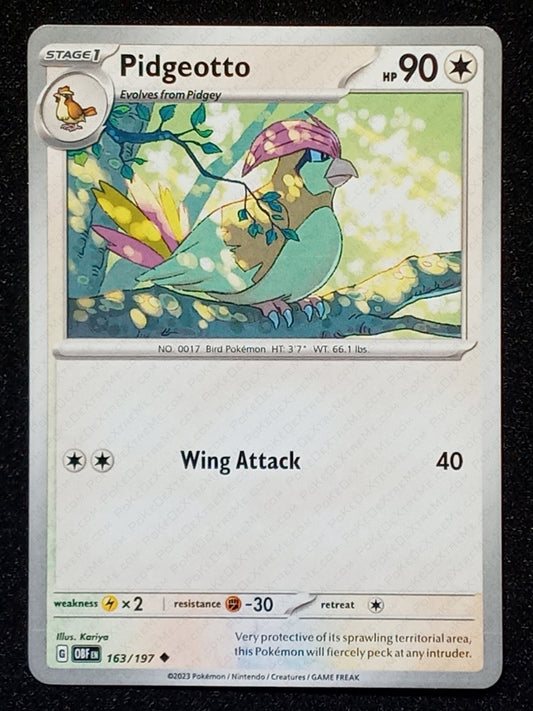 163/197 Pidgeotto
