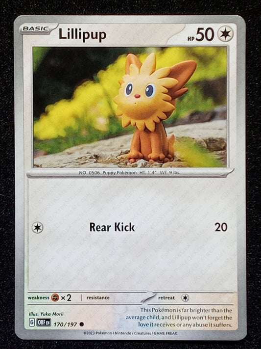 170/197 Lillipup