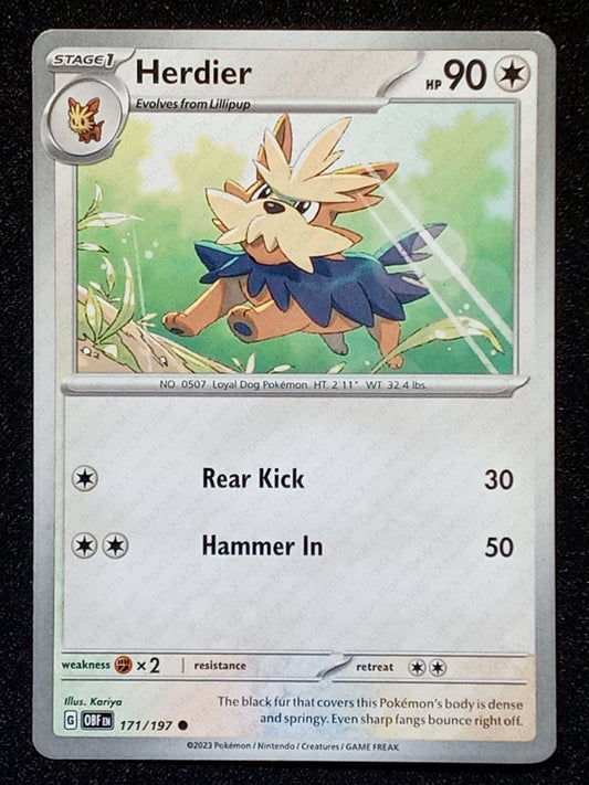 171/197 Herdier