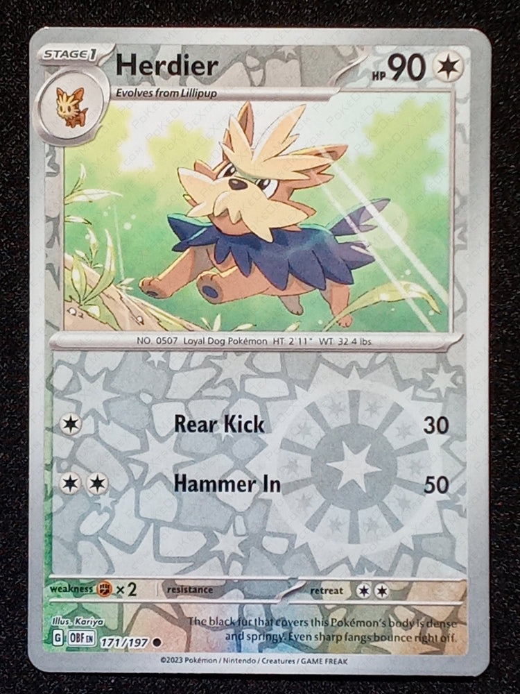 171/197 Herdier {Reverse Holo}