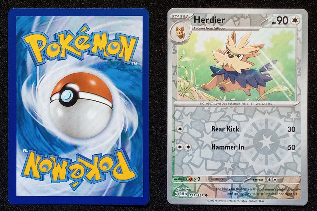171/197 Herdier {Reverse Holo}
