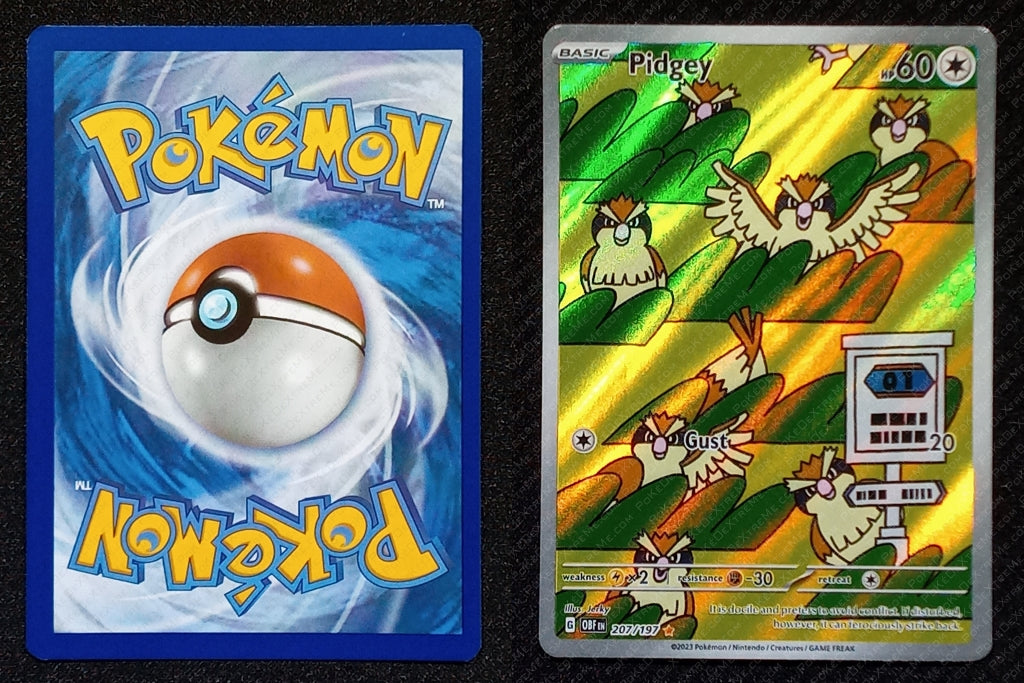 207/197 Pidgey {Full Art Holo}