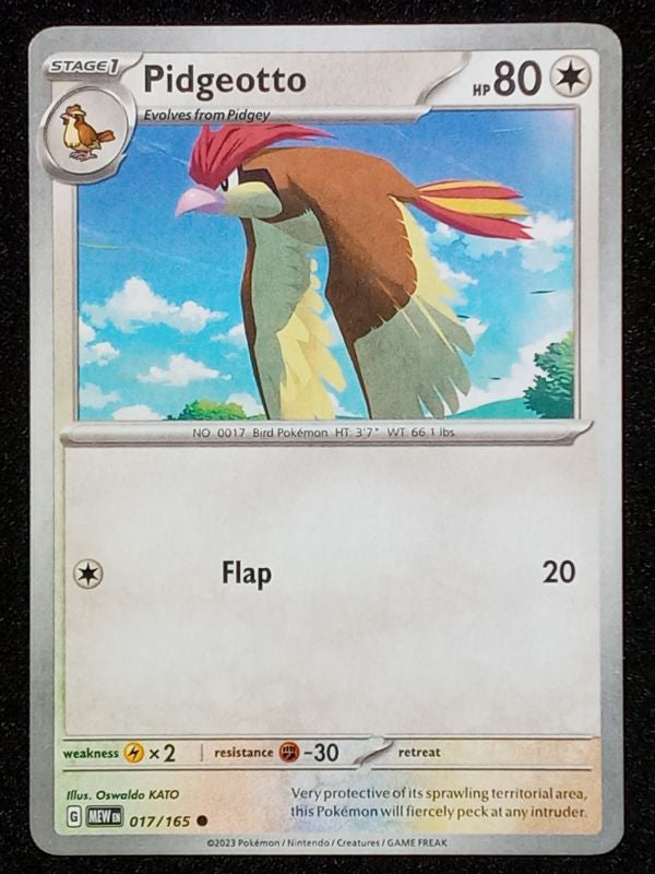 017/165 Pidgeotto