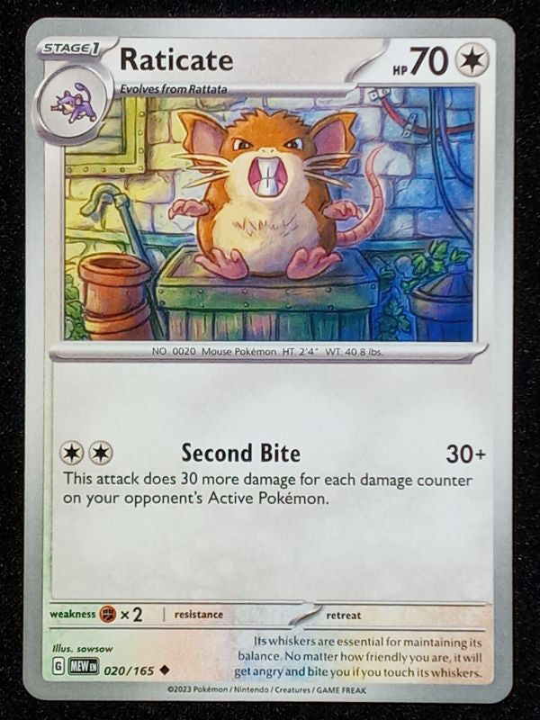 020/165 Raticate