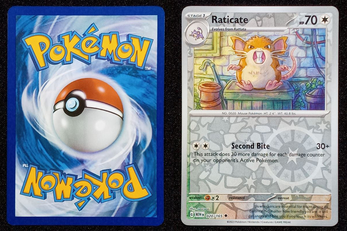020/165 Raticate {Reverse Holo}