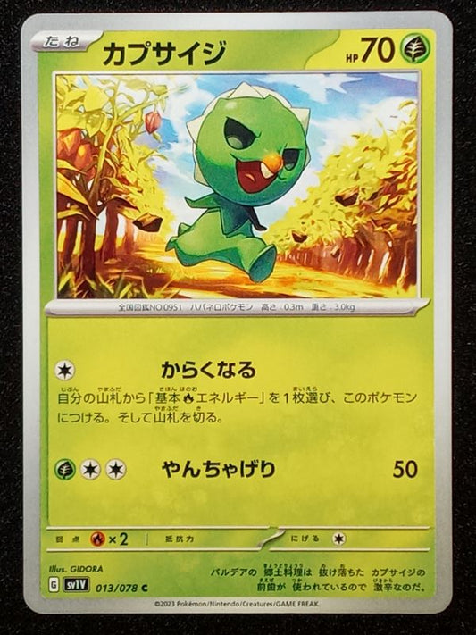 013/078 Capsakid