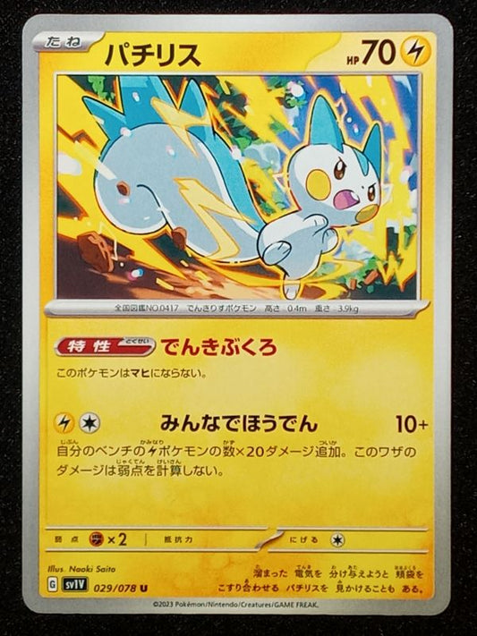029/078 Pachirisu