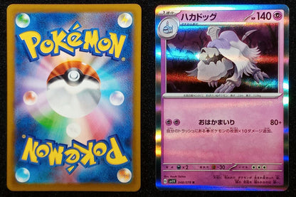 048/078 Houndstone {Regular Holo}