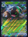012/162 Torterra EX {Full Art Holo}